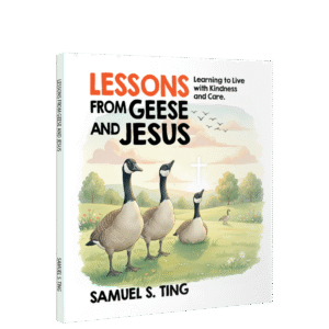Lessons from Geese and Jesus